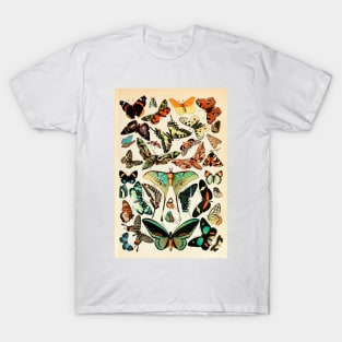 Papillon I Vintage French Butterfly Charts by Adolphe Millot T-Shirt